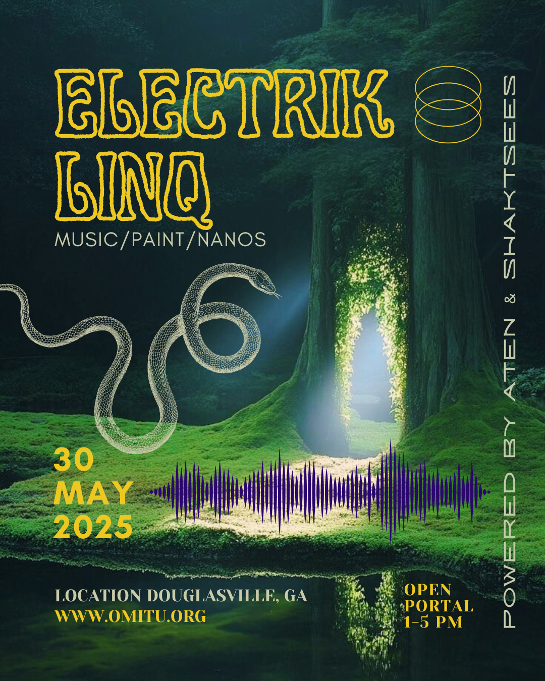 THE ELEKTRIC LINQ