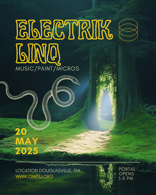 THE ELEKTRIC LINQ
